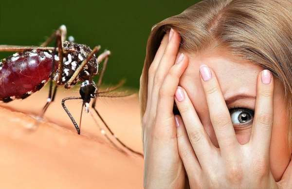 Кого предпочитают кусать комары. Объяснения энтомолога